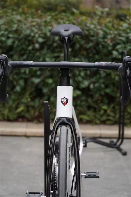 R15pro EDS-28S Electronic Carbon Bike – Disc Brakes